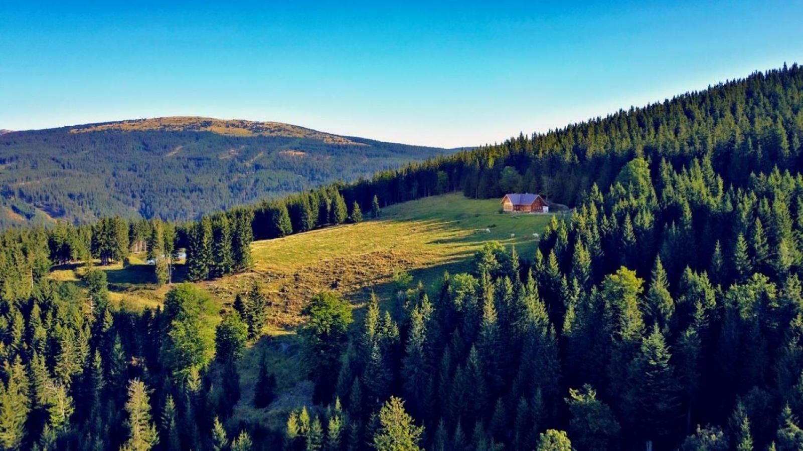 Urlaub Am Glatzl Bauernhof Villa Sankt Lorenzen am Wechsel Exterior foto